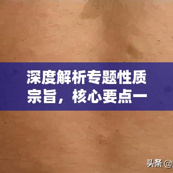 深度解析专题性质宗旨,核心要点一网打尽!