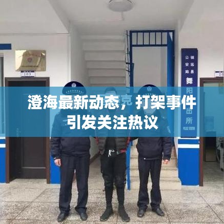 澄海最新动态,打架事件引发关注热议