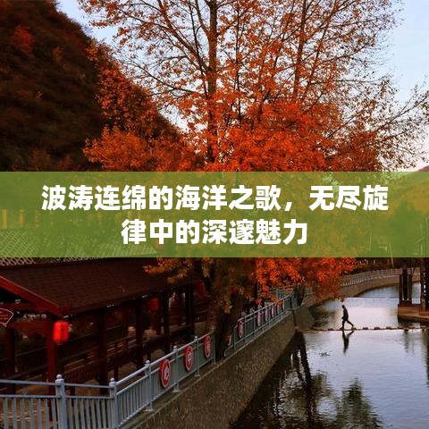 波涛连绵的海洋之歌,无尽旋律中的深邃魅力