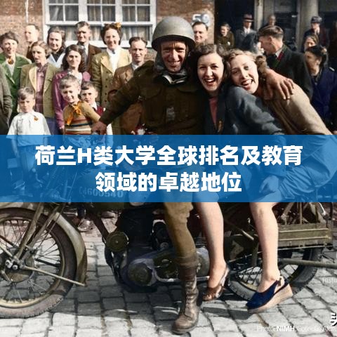 荷兰H类大学全球排名及教育领域的卓越地位