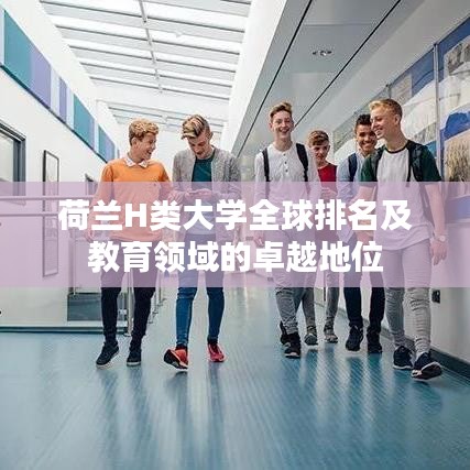 荷兰H类大学全球排名及教育领域的卓越地位