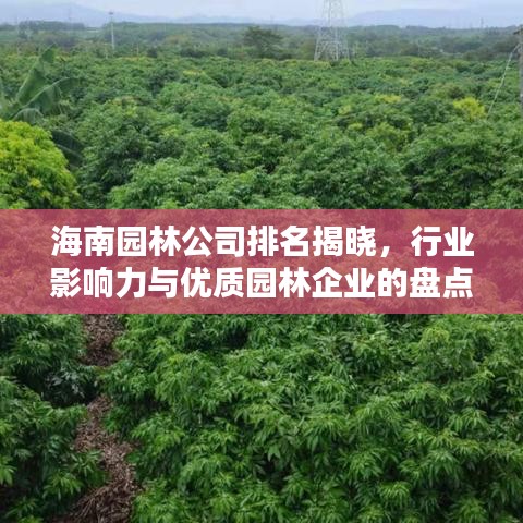 海南园林公司排名揭晓,行业影响力与优质园林企业的盘点