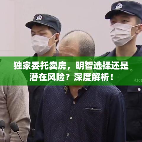 独家委托卖房,明智选择还是潜在风险?深度解析!