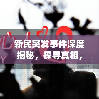 新民突发事件深度揭秘，探寻真相，不容忽视