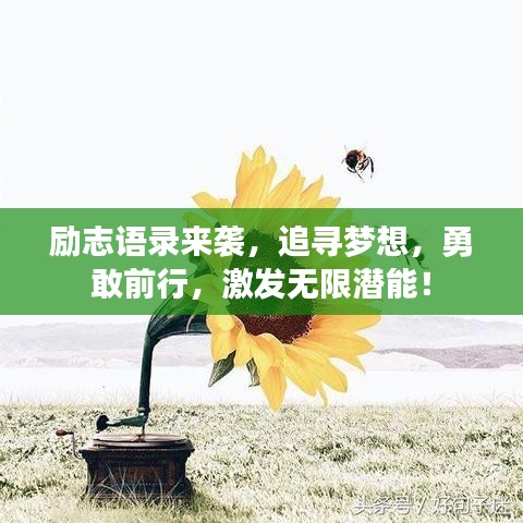 励志语录来袭,追寻梦想,勇敢前行,激发无限潜能!