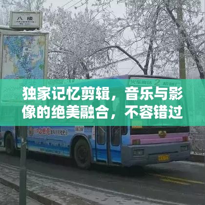 堂堂正正 第2页