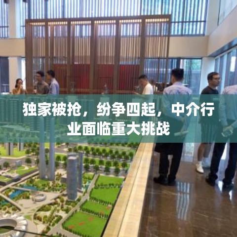 独家被抢,纷争四起,中介行业面临重大挑战