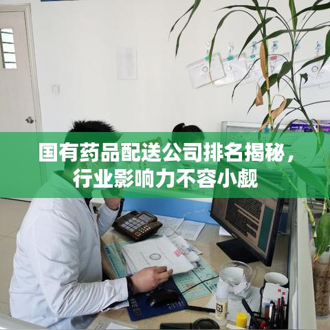 国有药品配送公司排名揭秘,行业影响力不容小觑