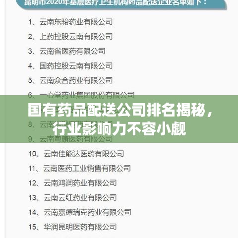 国有药品配送公司排名揭秘,行业影响力不容小觑