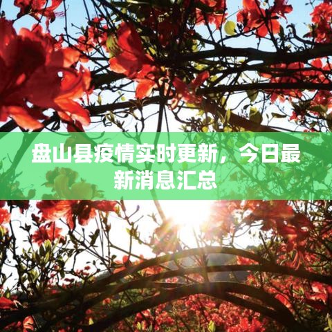 盘山县疫情实时更新,今日最新消息汇总