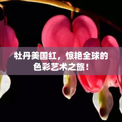牡丹美国红,惊艳全球的色彩艺术之旅!