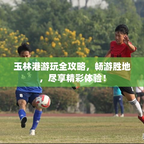 玉林港游玩全攻略,畅游胜地,尽享精彩体验!