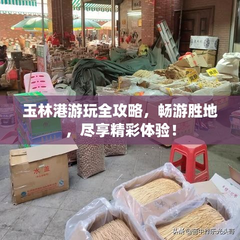 玉林港游玩全攻略,畅游胜地,尽享精彩体验!