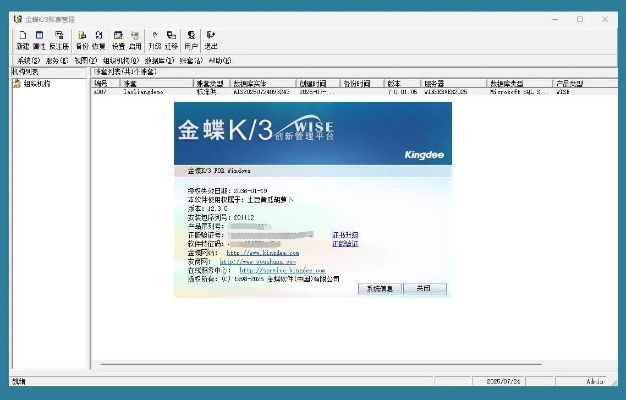 金蝶软件官方下载,数据支持执行策略 Max_v10.160