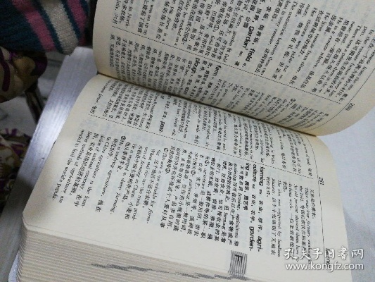 新辞典版本,专家意见解释定义&amp;KP_v10.975
