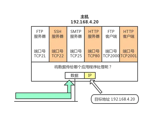 端口版本,专业评估解析|V_v6.793