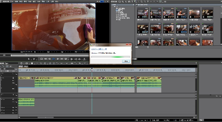 edius 版本,现状解答解释定义_Holo_v7.355