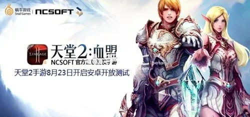 标准日语激活码中级或天堂2单机版维护,快速响应策略解析&amp;桌面款_v6.368